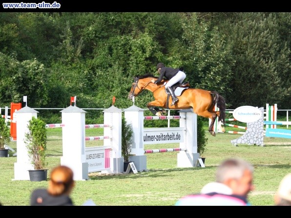 Reitturnier @ Illertissen - Bild 66