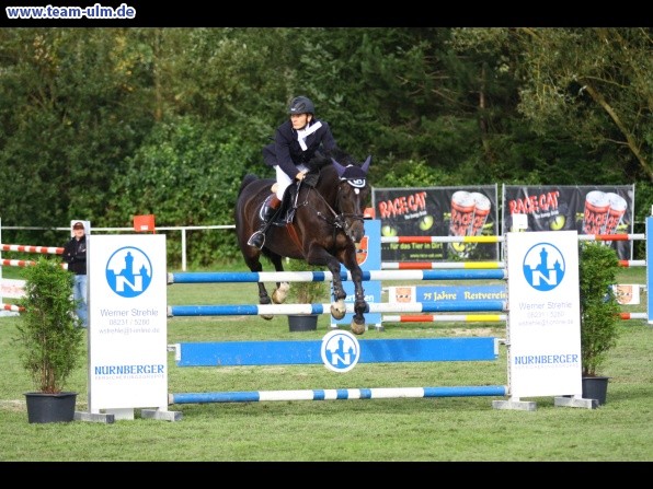 Reitturnier @ Illertissen - Bild 67