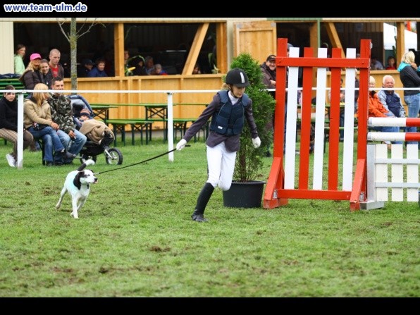 Reitturnier @ Illertissen - Bild 7