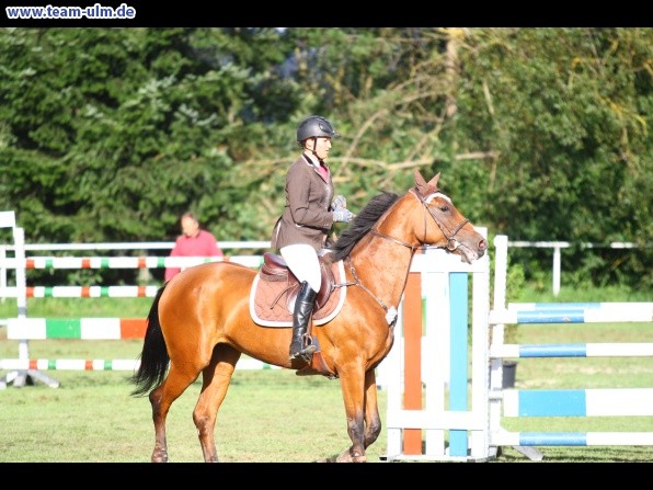 Reitturnier @ Illertissen - Bild 70