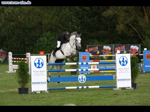Reitturnier @ Illertissen - Bild 71