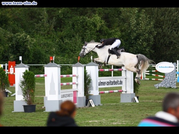Reitturnier @ Illertissen - Bild 73