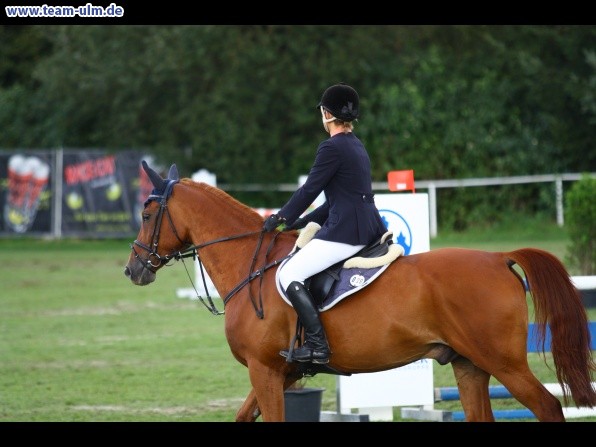 Reitturnier @ Illertissen - Bild 78