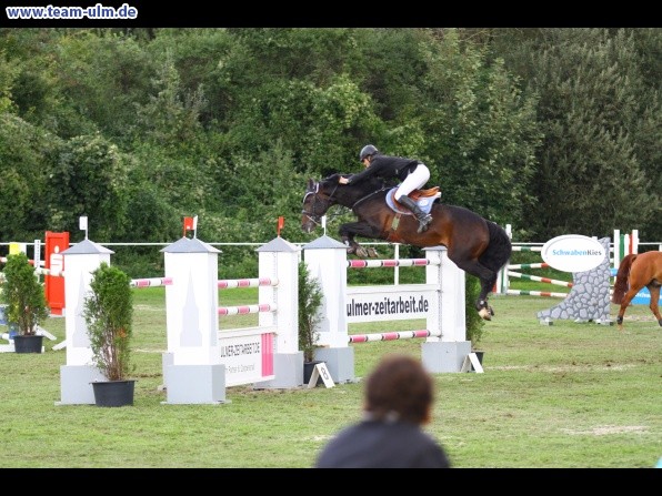 Reitturnier @ Illertissen - Bild 80