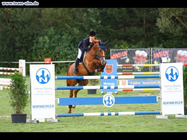 Reitturnier @ Illertissen - Bild 81