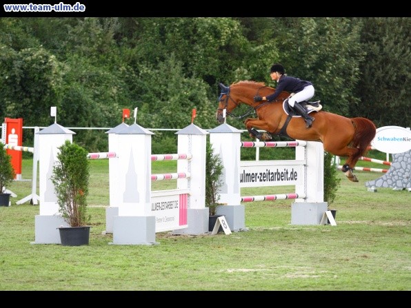 Reitturnier @ Illertissen - Bild 82