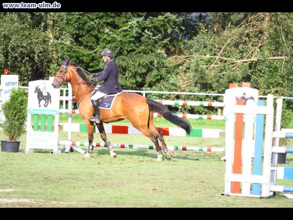 Reitturnier @ Illertissen - Bild 83