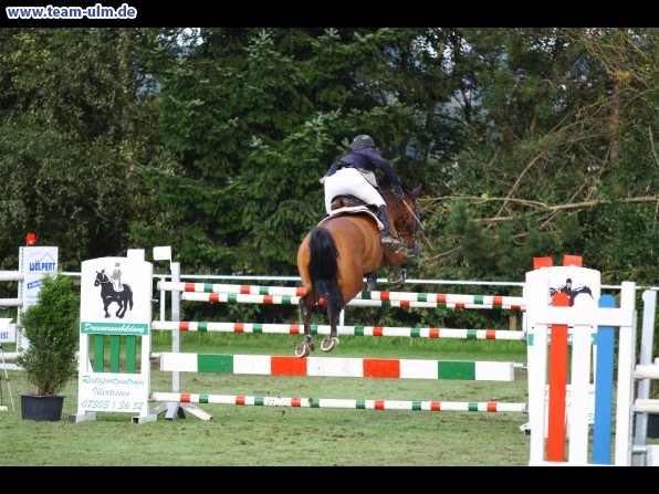 Reitturnier @ Illertissen - Bild 84