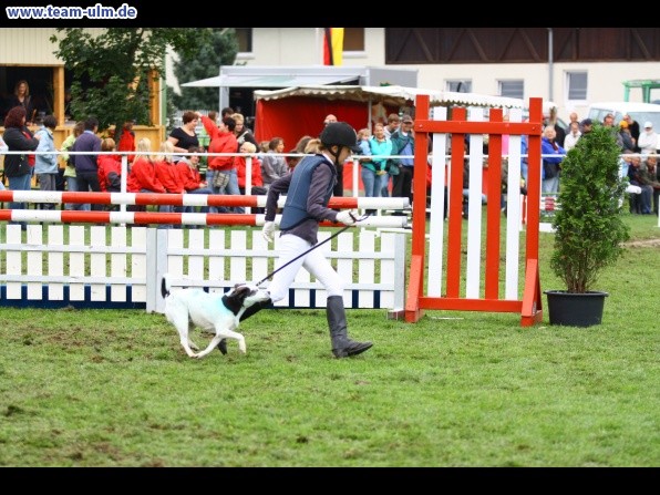 Reitturnier @ Illertissen - Bild 9