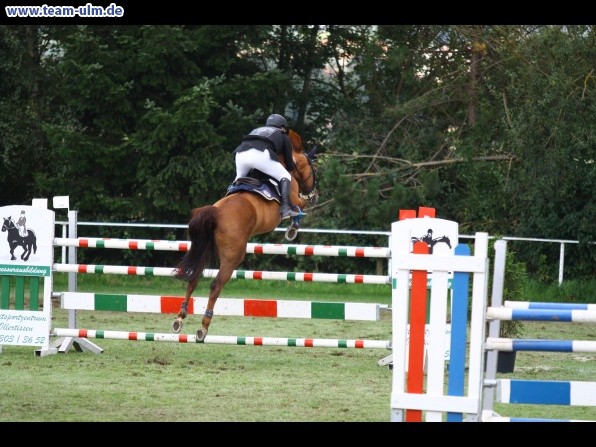 Reitturnier @ Illertissen - Bild 94