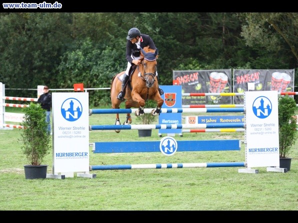Reitturnier @ Illertissen - Bild 99