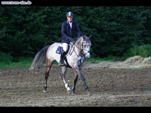 Reitturnier @ Illertissen - Bild 1