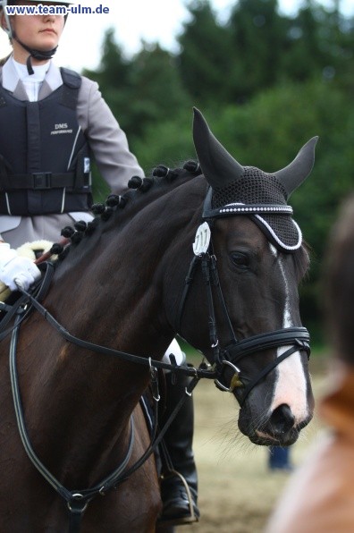 Reitturnier @ Illertissen - Bild 100