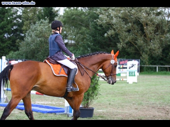 Reitturnier @ Illertissen - Bild 101