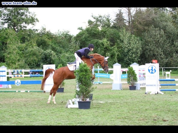 Reitturnier @ Illertissen - Bild 102