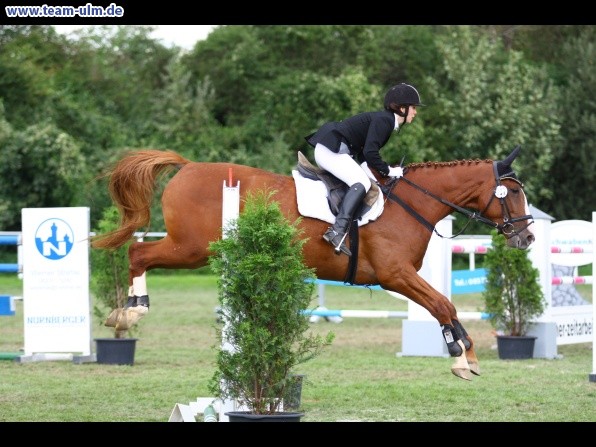 Reitturnier @ Illertissen - Bild 105
