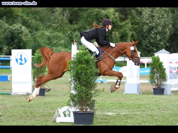 Reitturnier @ Illertissen - Bild 106
