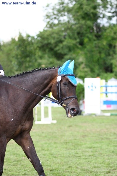 Reitturnier @ Illertissen - Bild 110