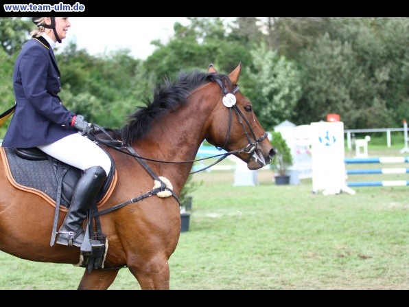 Reitturnier @ Illertissen - Bild 111