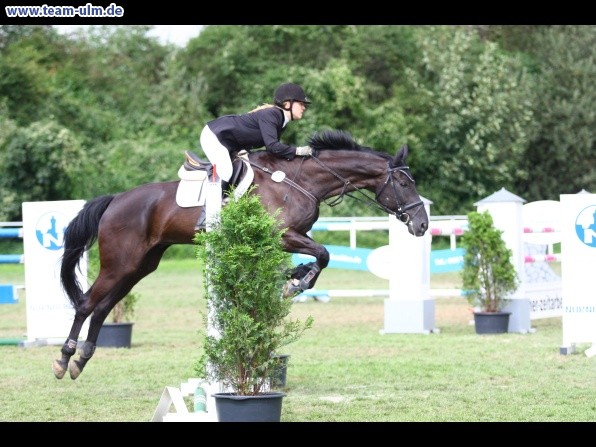 Reitturnier @ Illertissen - Bild 112