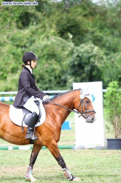 Reitturnier @ Illertissen - Bild 114