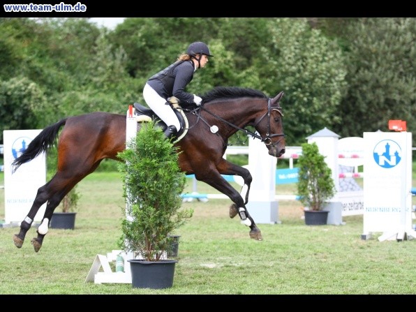 Reitturnier @ Illertissen - Bild 116