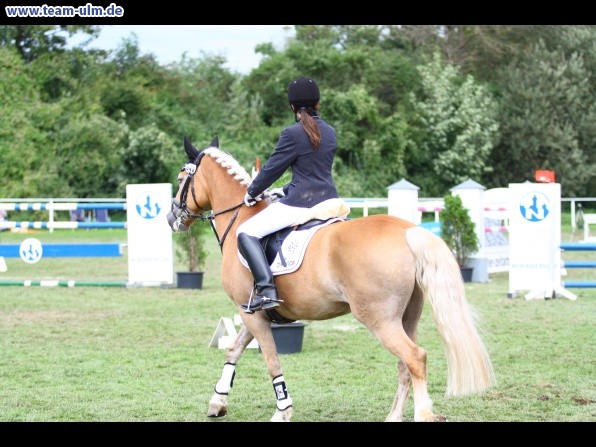 Reitturnier @ Illertissen - Bild 119