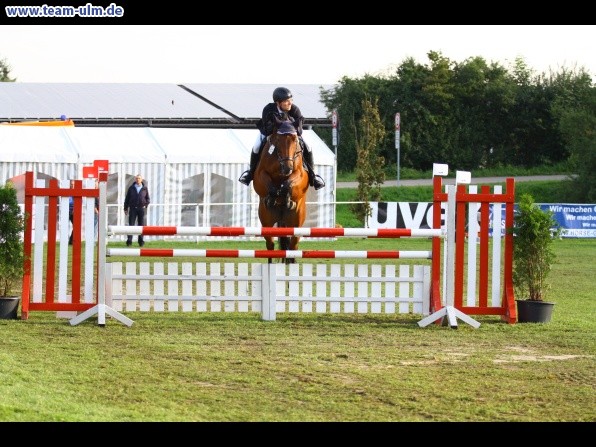 Reitturnier @ Illertissen - Bild 12