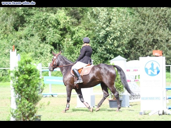 Reitturnier @ Illertissen - Bild 120