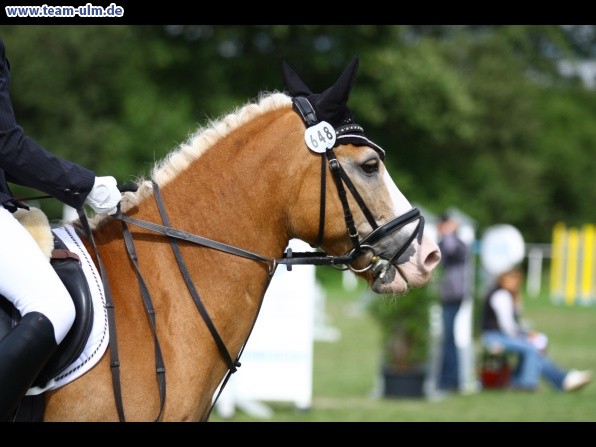 Reitturnier @ Illertissen - Bild 122