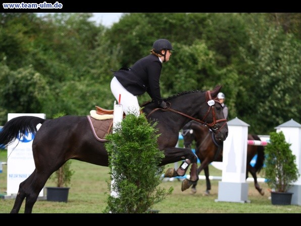 Reitturnier @ Illertissen - Bild 123