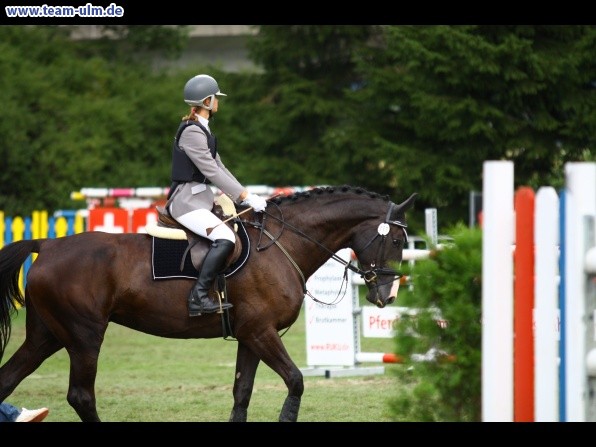 Reitturnier @ Illertissen - Bild 124