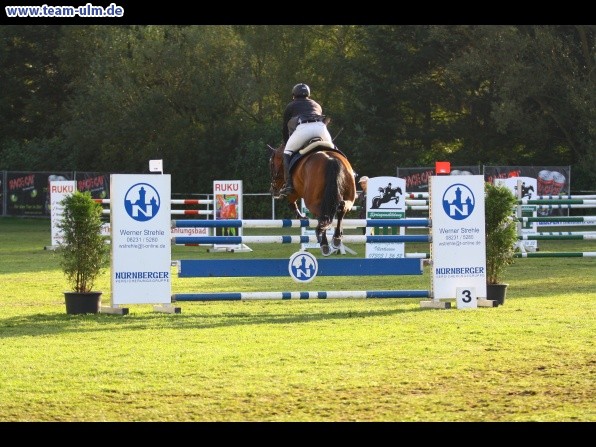 Reitturnier @ Illertissen - Bild 13