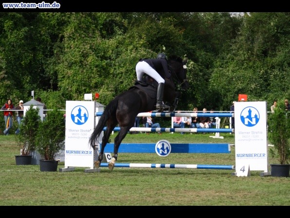 Reitturnier @ Illertissen - Bild 145