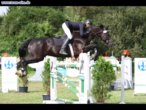 Reitturnier @ Illertissen - Bild 146