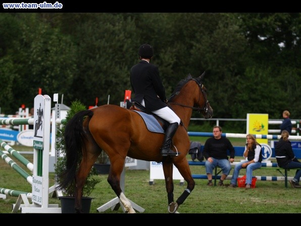 Reitturnier @ Illertissen - Bild 147