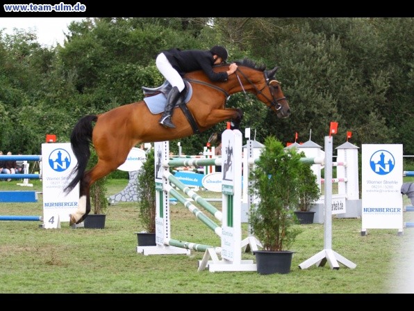 Reitturnier @ Illertissen - Bild 149