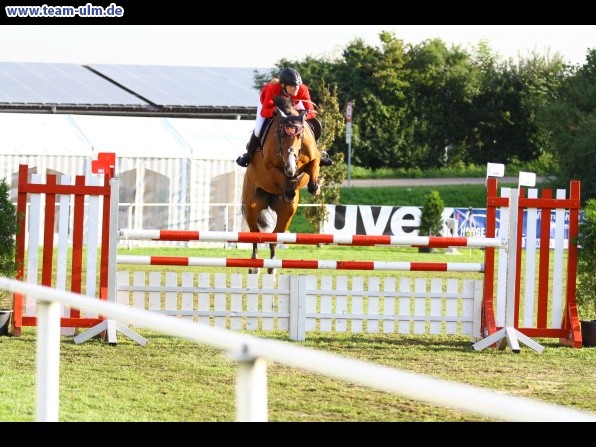 Reitturnier @ Illertissen - Bild 15