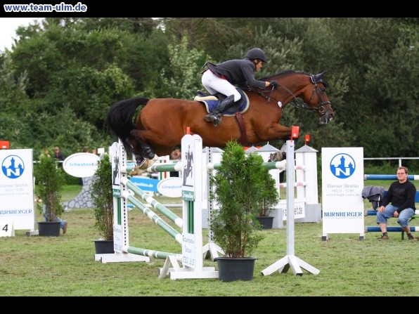 Reitturnier @ Illertissen - Bild 151