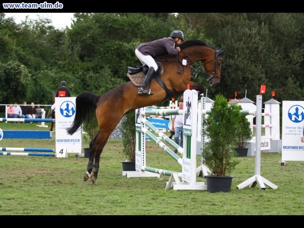Reitturnier @ Illertissen - Bild 153