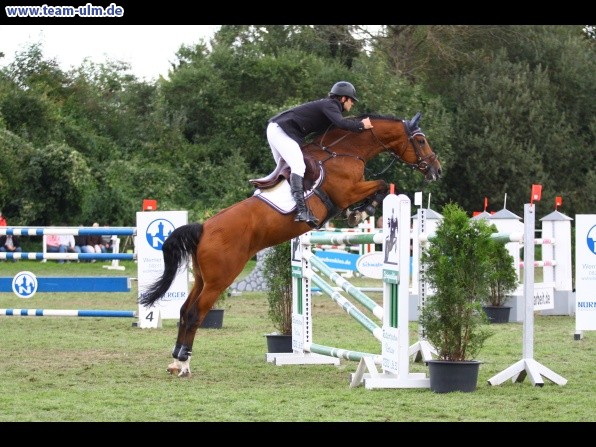Reitturnier @ Illertissen - Bild 155