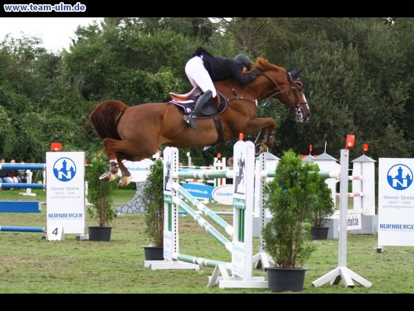 Reitturnier @ Illertissen - Bild 157