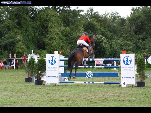 Reitturnier @ Illertissen - Bild 158