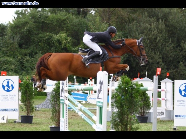 Reitturnier @ Illertissen - Bild 159