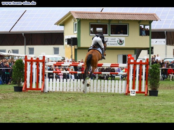 Reitturnier @ Illertissen - Bild 160