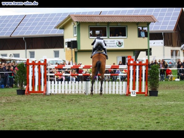 Reitturnier @ Illertissen - Bild 162
