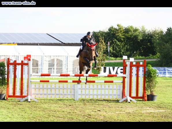 Reitturnier @ Illertissen - Bild 17