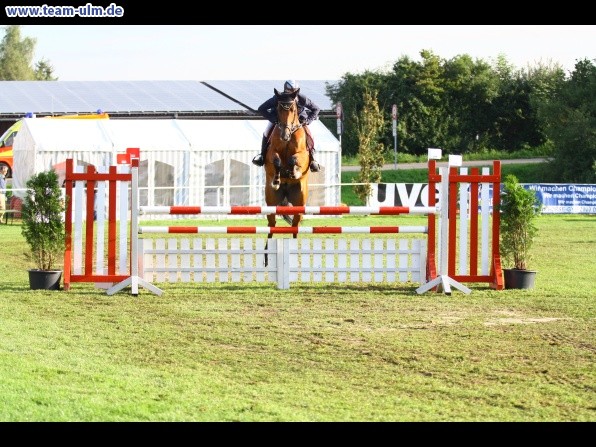 Reitturnier @ Illertissen - Bild 19