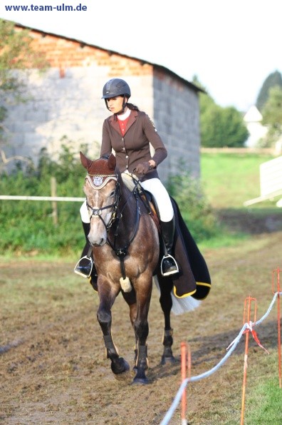 Reitturnier @ Illertissen - Bild 2