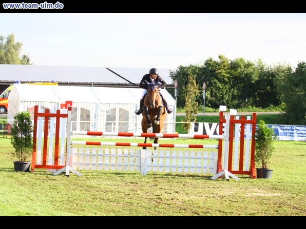 Reitturnier @ Illertissen - Bild 23